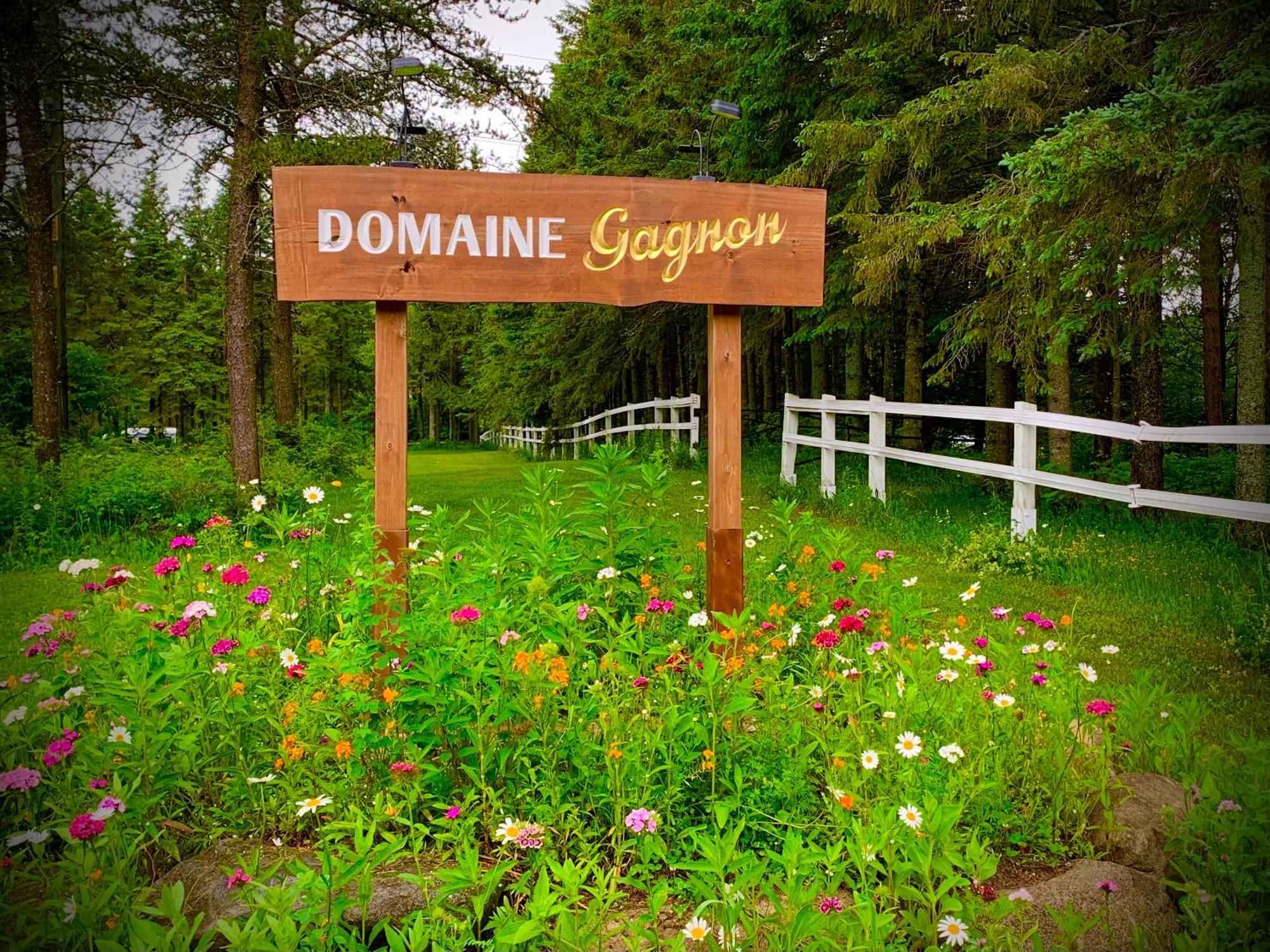 Villa Domaine Gagnon Saint-Sébastien Exterior foto
